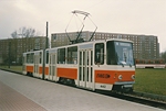 Wagen 442